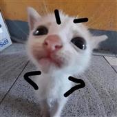 St