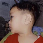 Gi