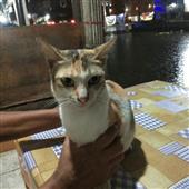 cu