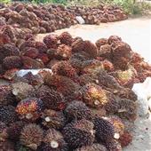 số