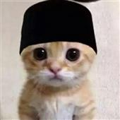 Vậ