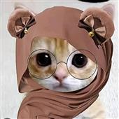 Tả