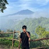 Dự