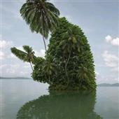 Rồ