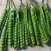 Mắ