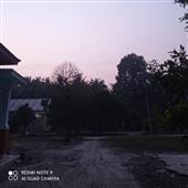 Ti