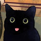 Bu