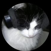Ma
