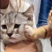 Sâ