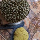 Lị