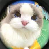 Wo