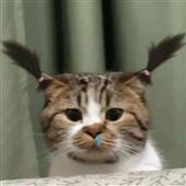 Th