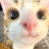 Me