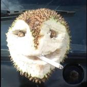 Th