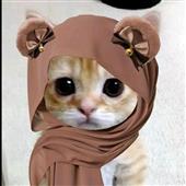 lụ