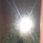 Sò