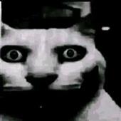 Bó