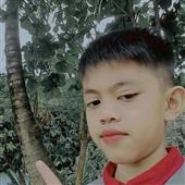 Cu
