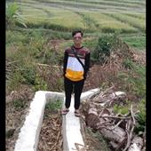 Cổ