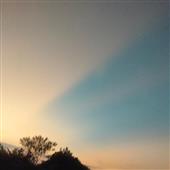 Wi