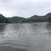 Lị