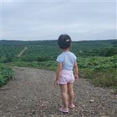 Bắ