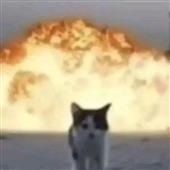 Tr