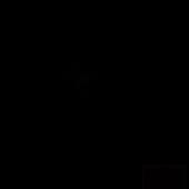 Co