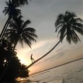 Bắ