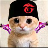 Ng