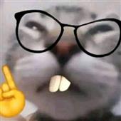 Vò