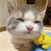 Tì
