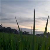 Kỷ
