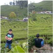 Kế