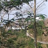 BỮ