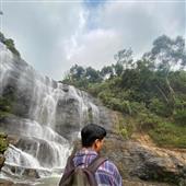 Củ