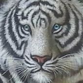 Sô