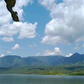Tỷ