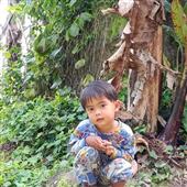 Dự