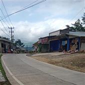 NỮ