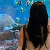 สั