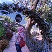 Sự