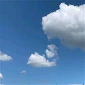 Wi