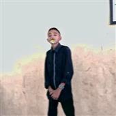 FI