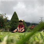 Hò