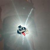 Xì
