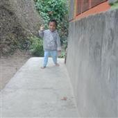 Cu