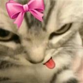 Kè