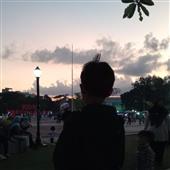 VỪ