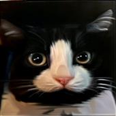 Đô